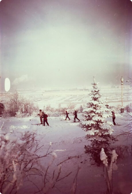 Лыжники у здания МТУ. 1955